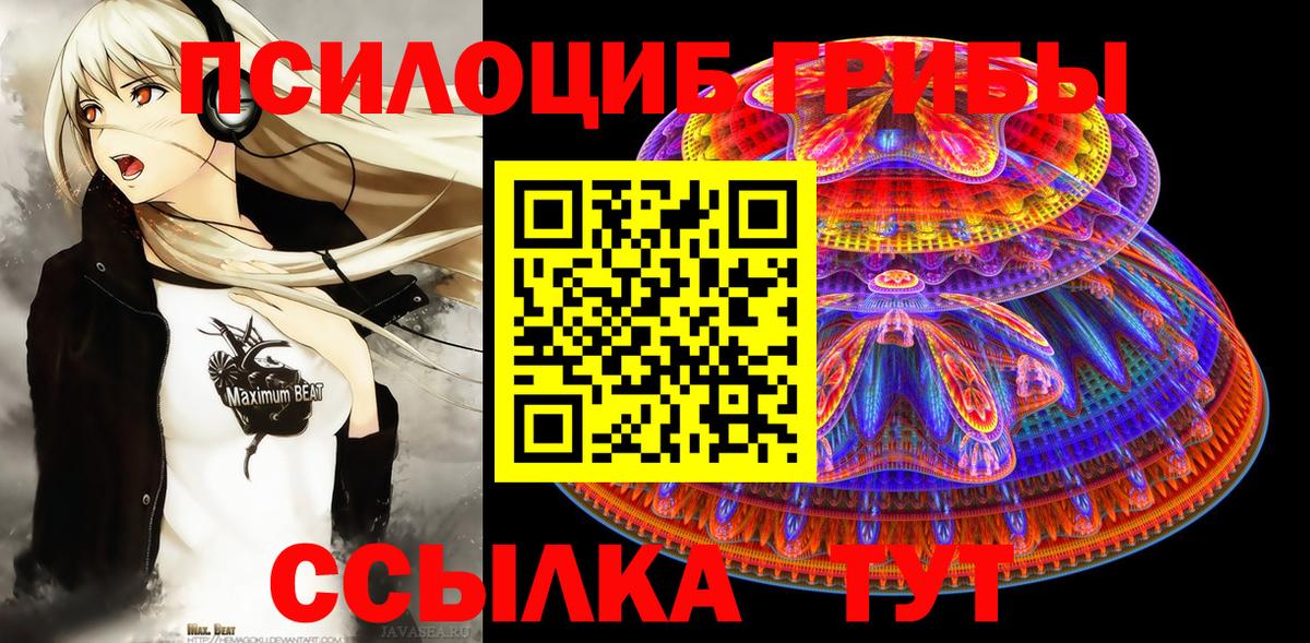 Галлюциногенные грибы мицелий  Вход с VPN  дарнет шоп  Ижевск  Галлюциногенные грибы Psilocybe 